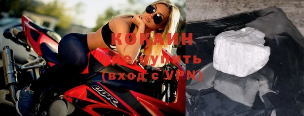 шишки Богородск