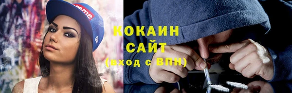 шишки Богородск