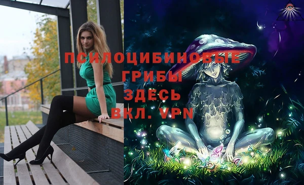 шишки Богородск