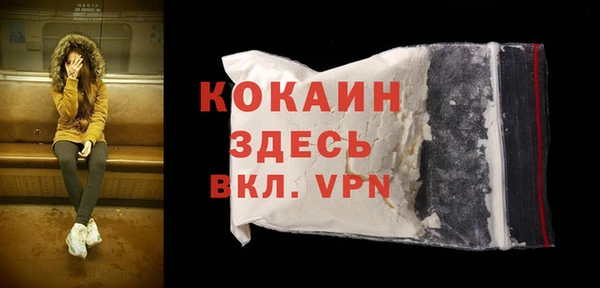шишки Богородск