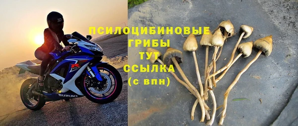гашиш Бородино