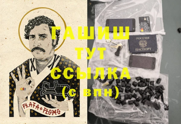шишки Богородск
