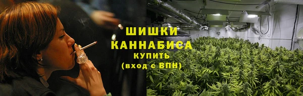 шишки Богородск