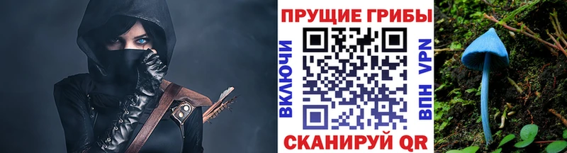 Псилоцибиновые грибы ЛСД  дарнет шоп  Верхний Тагил 